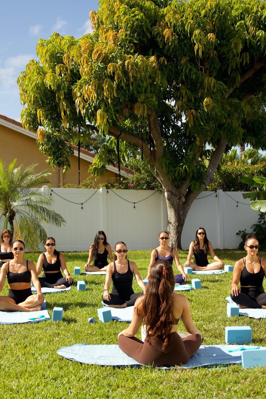 Group moving through a yoga flow outdoors